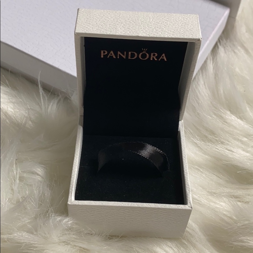 Pandora charm box